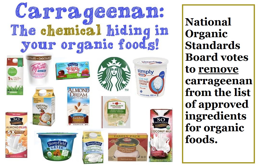Carrageenan now unacceptable in organic foods – Chemical Free Life