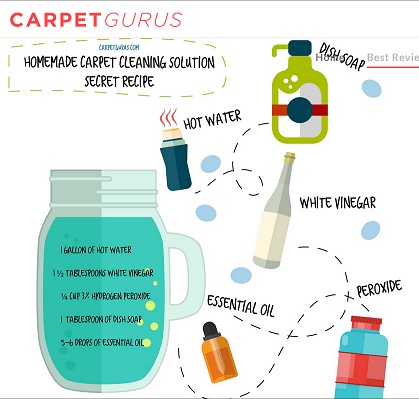 diy carpet cleaning ingredients