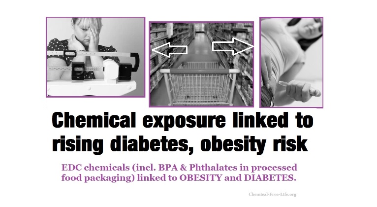 BPA Phthlates chemical exposure obesity diabetes